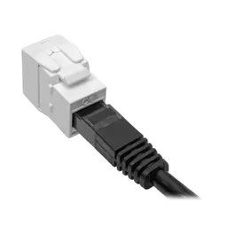 0fP8_gY1Z0WLGWUvvljnZw.c-r.jpg?