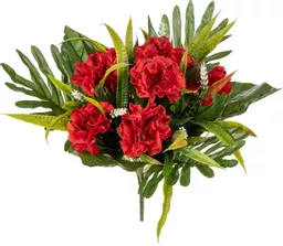 IT393798.jpg