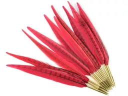 PEN.jpg