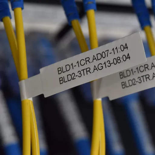 veOCocOIRUaf5sCYWJ8w_A.c-r.jpg?