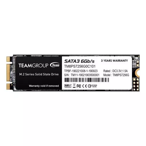 Team 256GB MS30 M.2 SATA SSD