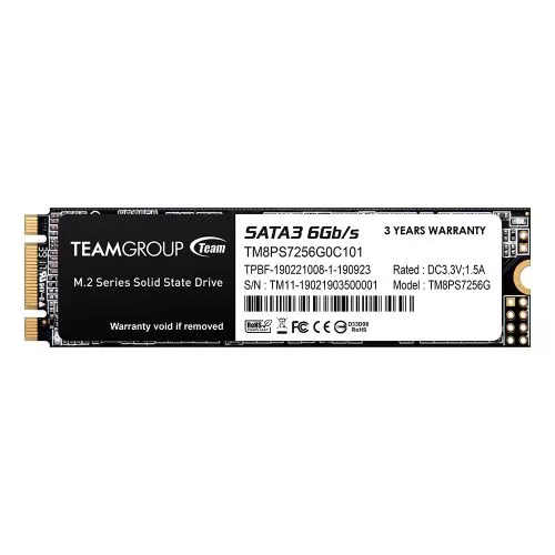 Team 256GB MS30 M.2 SATA SSD