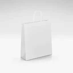 White-Kraft-Unprinted-Twist-Bag-Small.jpg