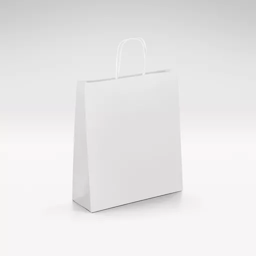 White-Kraft-Unprinted-Twist-Bag-Small.jpg