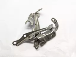 c31e1117-3095-4e9d-8e7a-9712e7826d51.jpeg?