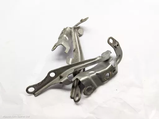 c31e1117-3095-4e9d-8e7a-9712e7826d51.jpeg?