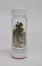 penexp-scaled.jpg