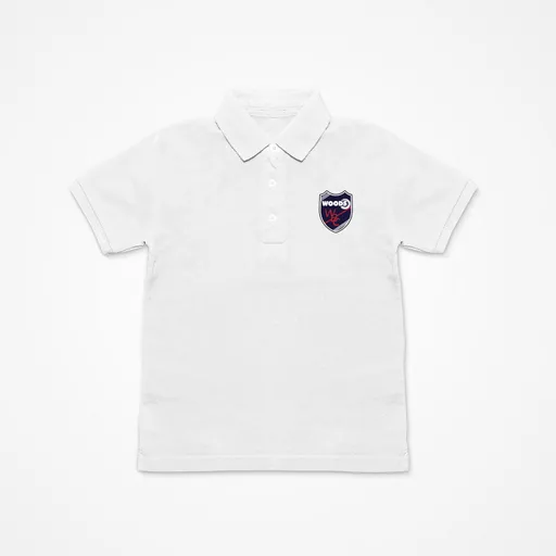 mockup-1763993894214-3-2.png?