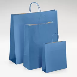 Natural-kraft-blue-twist-handles-bag-GROUP.jpg