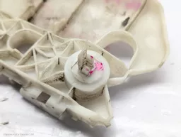 a909003f-aa49-4d6d-9fe3-6b04313e2aac.jpeg?
