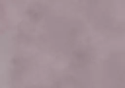 Violet.webp