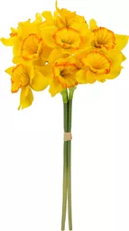 IT393846.jpg