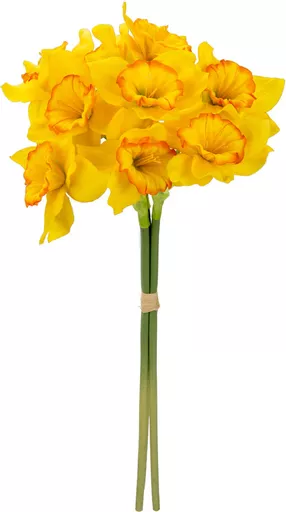 IT393846.jpg