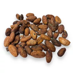 Cocoa Beans 2.jpg