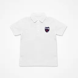 mockup-1763993893895-1-1.png?