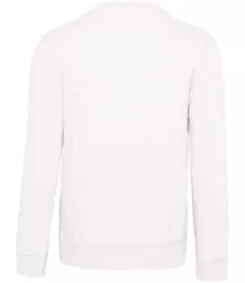 KB488%20WHI%20BACK.jpg?