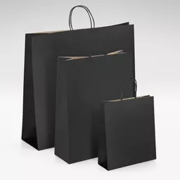 Natural-kraft-black-twist-handles-bag-GROUP.jpg