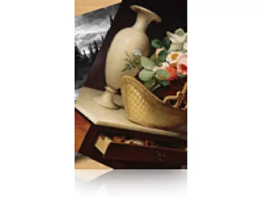 Epson Premium Luster Photo Paper, 60" x 30,5 m, 260g/m²