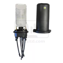 mmj_top_clipped_web_1.jpg?