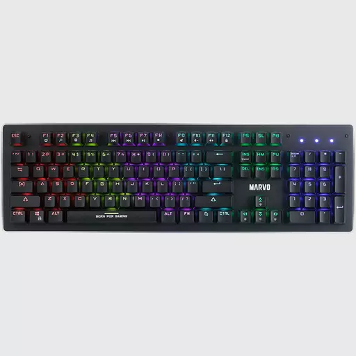 KG909.jpg