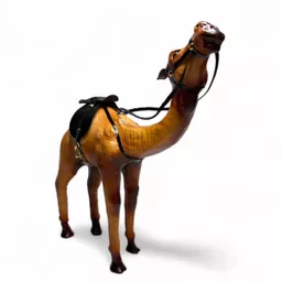 Big Camel 5.jpg