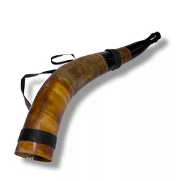 Engraved Blowing Horn 4.jpg