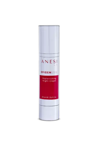 3711 Anesi Lab Epigenesse Retail Product Replenishing Night Cream Bottle 50ml.png