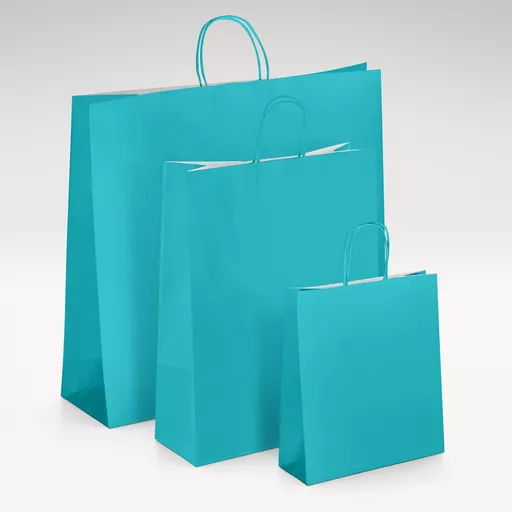 White-kraft-turquoise-twist-bags-GROUP.jpg