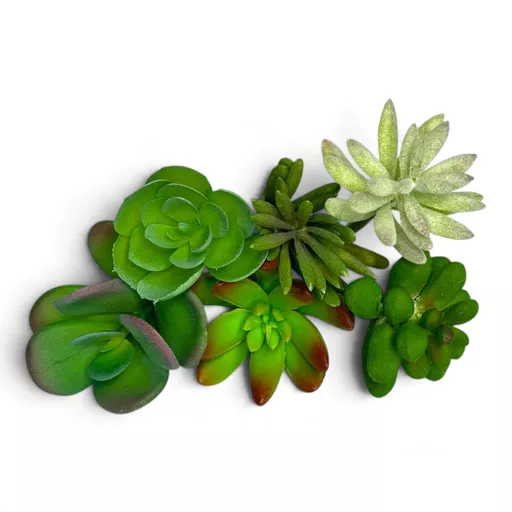 Artificial Succulent Assortment Pack of 6