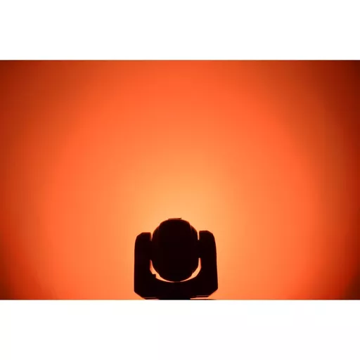 1699092393-36284600.jpg?