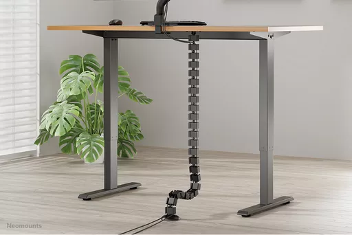 A1OZFgaOrky-GXW97oLtAw.c-r.jpg?