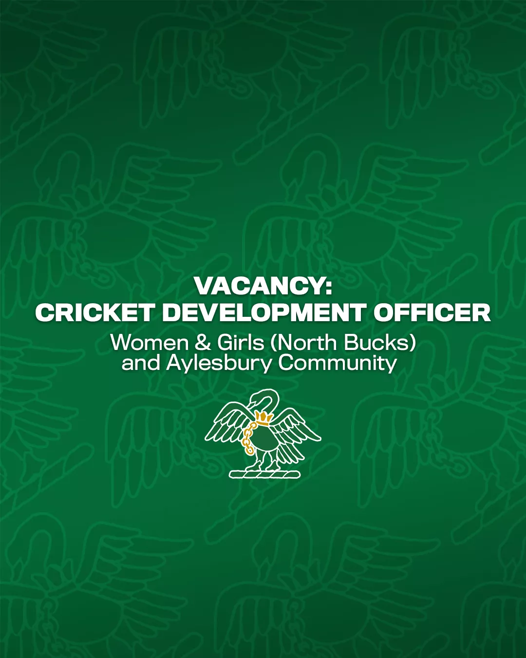 ROLE VACANCY: Cricket Development Officer - Women and Girls (North Bucks) and Aylesbury Community