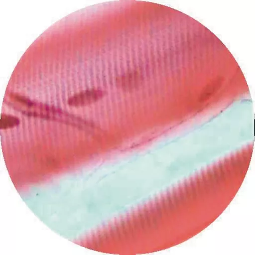 FINHC1890212.png