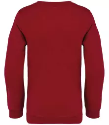 NS403%20HIB%20BACK.jpg?