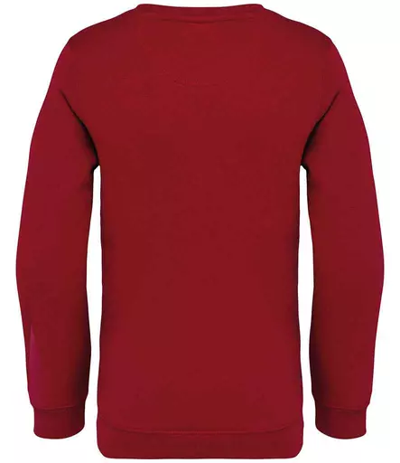 NS403%20HIB%20BACK.jpg?