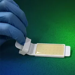 DipSlides, TTC/MEA, Microspec