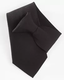Clip-On Tie