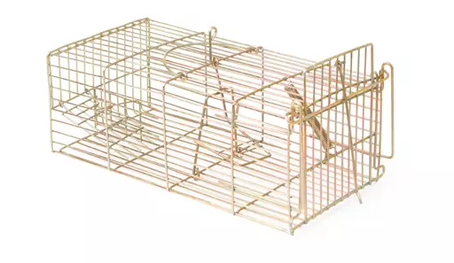 Racan Rat Trap 2.jpg