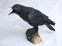 vk_122_raven_800.jpg