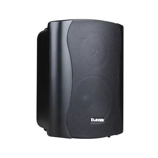 Clever Acoustics BGS35T 100v Black Speakers (Pair)