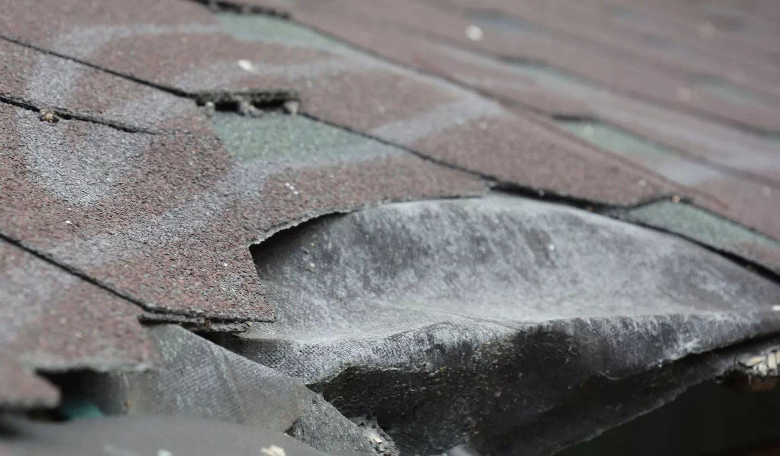 Roof Repair Costs