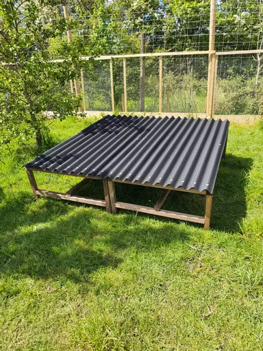 Chicken Rain Shelter with Perch 3