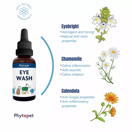 Phytopet Eye Wash.webp