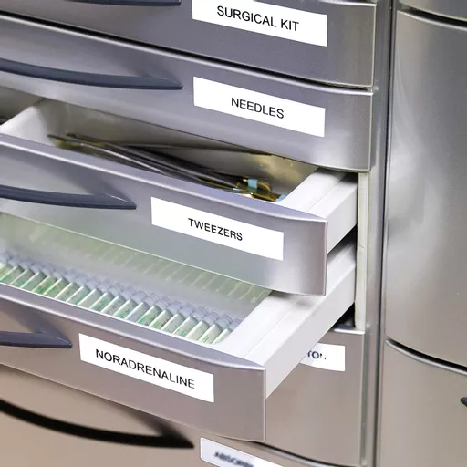 Nv4cMOQMj023WvIKGTPoYg.c-r.jpg?