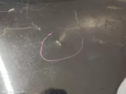 96923440-e66d-4338-9a5f-86140877356b.jpeg?