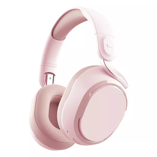 BT Headphones with Microphone