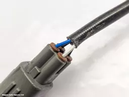 58ceae0c-4815-4255-a28c-72914d0740ca.jpeg?