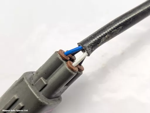 58ceae0c-4815-4255-a28c-72914d0740ca.jpeg?