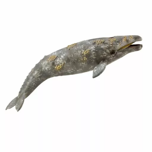 Gray Whale Figurine