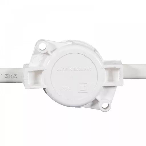 1648472534-78993700.jpg?